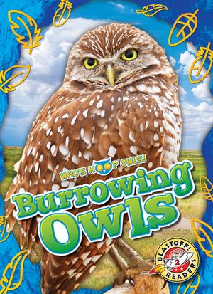 Burrowing Owls image number 0