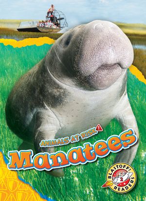 Manatees image number 0