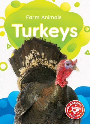Turkeys image number 0