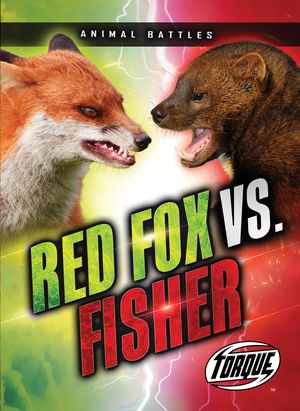 Red Fox vs. Fisher image number 0