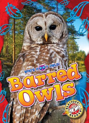 Barred Owls image number 0