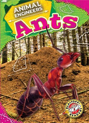 Ants image number 0
