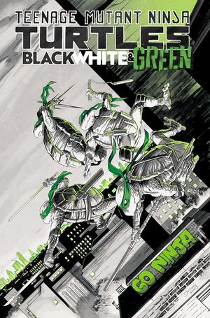 Teenage Mutant Ninja Turtles: Black, White, and Green image number 0