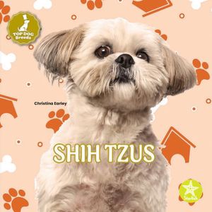 Shih Tzus image number 0