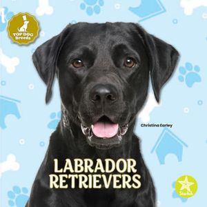 Labrador Retrievers image number 0