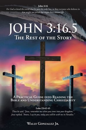 John 3: 16.5: The Rest of the Story: A Practical Guide into Reading the Bible and Understanding Christianity image number 0