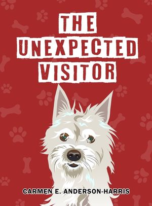 The Unexpected Visitor image number 0