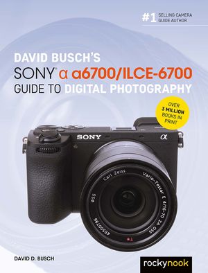 David Busch's Sony Alpha A6700/Ilce-6700 Guide to Digital Photography image number 0