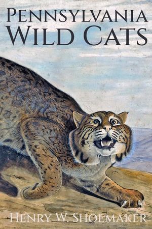 Pennsylvania Wild Cats image number 0
