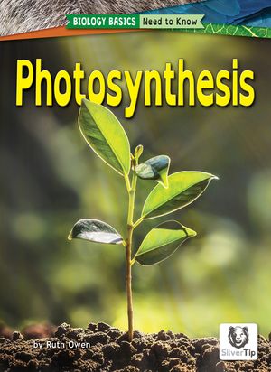 Photosynthesis image number 0