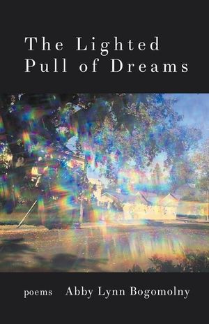 The Lighted Pull of Dreams image number 0