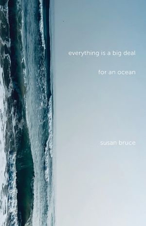 Everything is a Big Deal for an Ocean image number 0