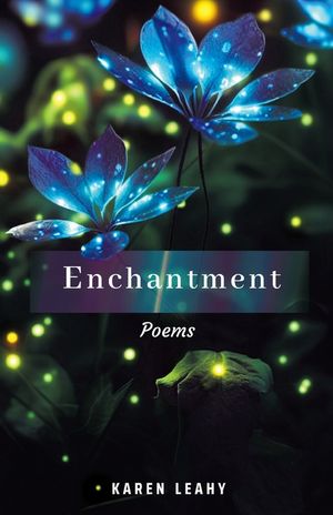 Enchantment image number 0