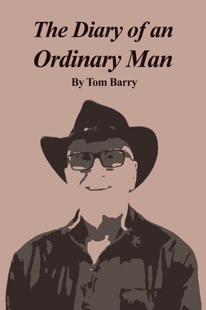 The Diary of an Ordinary Man image number 0