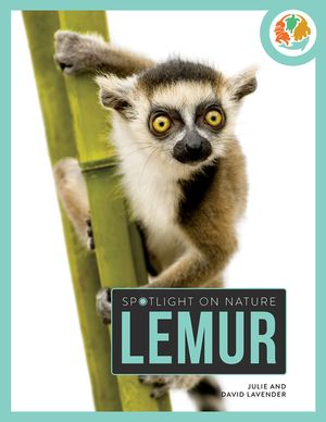 Lemur image number 0
