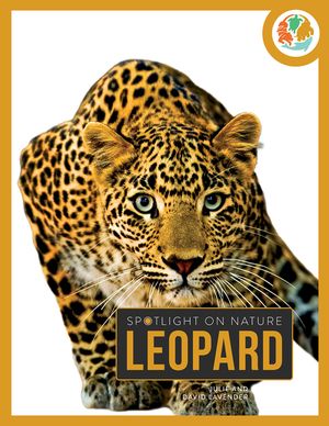 Leopard image number 0