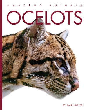 Ocelots image number 0