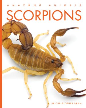 Scorpions image number 0