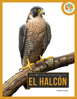 El Halc&oacute;n: Spanish Edition image number 0
