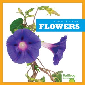 Flowers image number 0