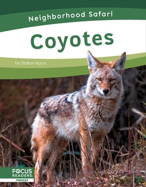 Coyotes image number 0