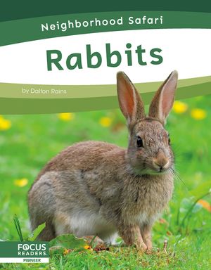 Rabbits image number 0