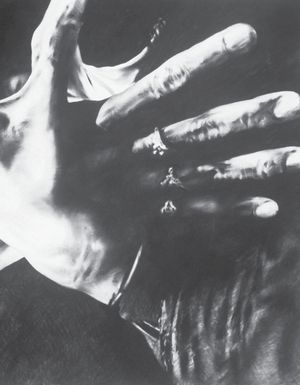 James Drake: Tongue-Cut Sparrows image number 0