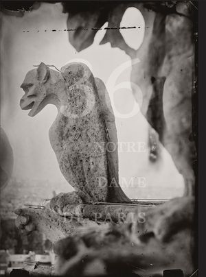 Tomas Van Houtryve: 36 Views of Notre Dame image number 0