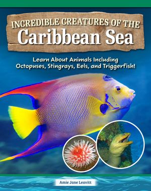 Life in the Caribbean Sea: Remarkable Creatures of the Water Planet image number 0