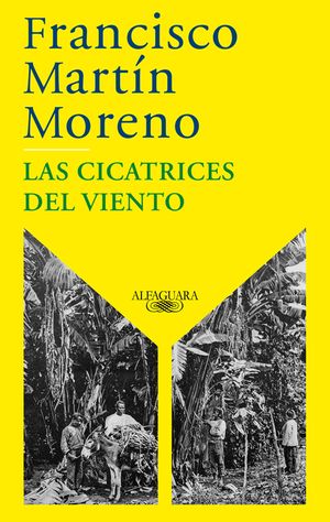 Las Cicatrices del Viento / The Scars of the Wind image number 0