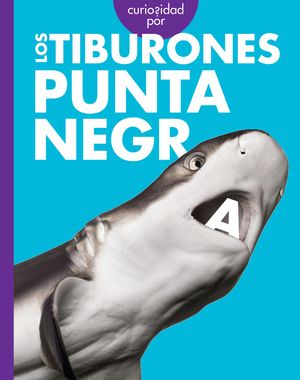 Curiosidad Por Los Tiburones Punta Negra image number 0