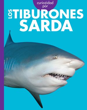 Curiosidad Por Los Tiburones Sarda image number 0