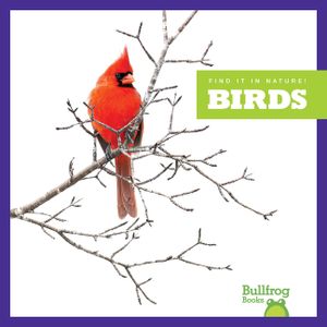 Birds image number 0