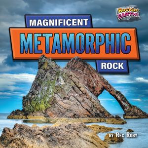 Magnificent Metamorphic Rock image number 0