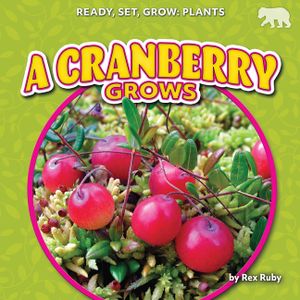 A Cranberry Grows image number 0
