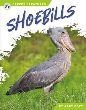 Shoebills image number 0