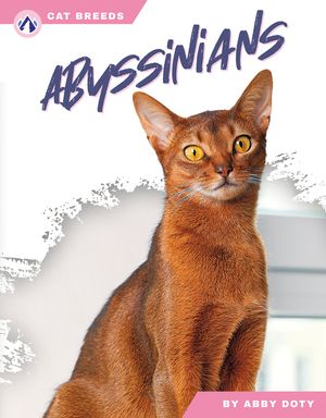 Abyssinians image number 0