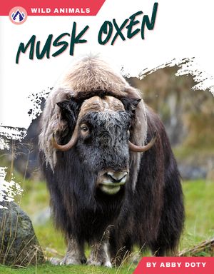 Musk Oxen image number 0