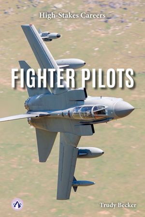 Fighter Pilots image number 0