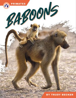 Baboons image number 0