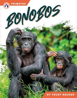 Bonobos image number 0
