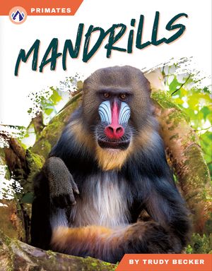 Mandrills image number 0