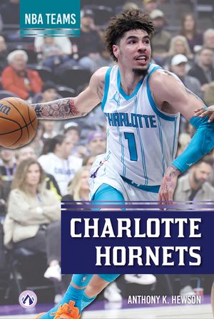 Charlotte Hornets image number 0