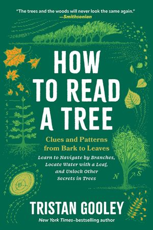 How to Read a Tree: Clues and Patterns from Bark to Leaves image number 0