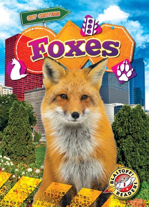 Foxes image number 0