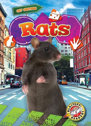 Rats image number 0