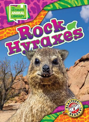 Rock Hyraxes image number 0