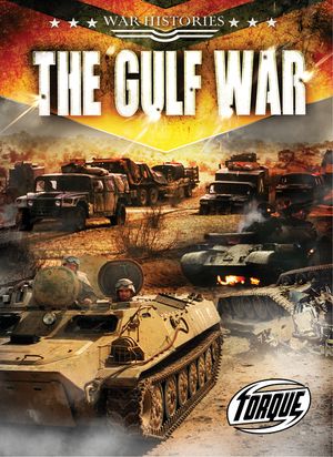 The Gulf War image number 0