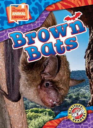 Brown Bats image number 0