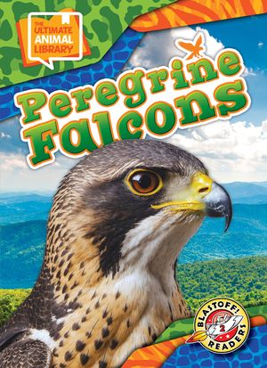 Peregrine Falcons image number 0